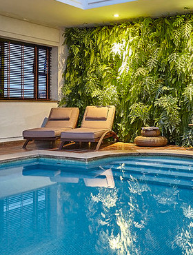 设有室内泳池的酒店